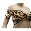 Leopard Bikini Set Swimsuit for Women